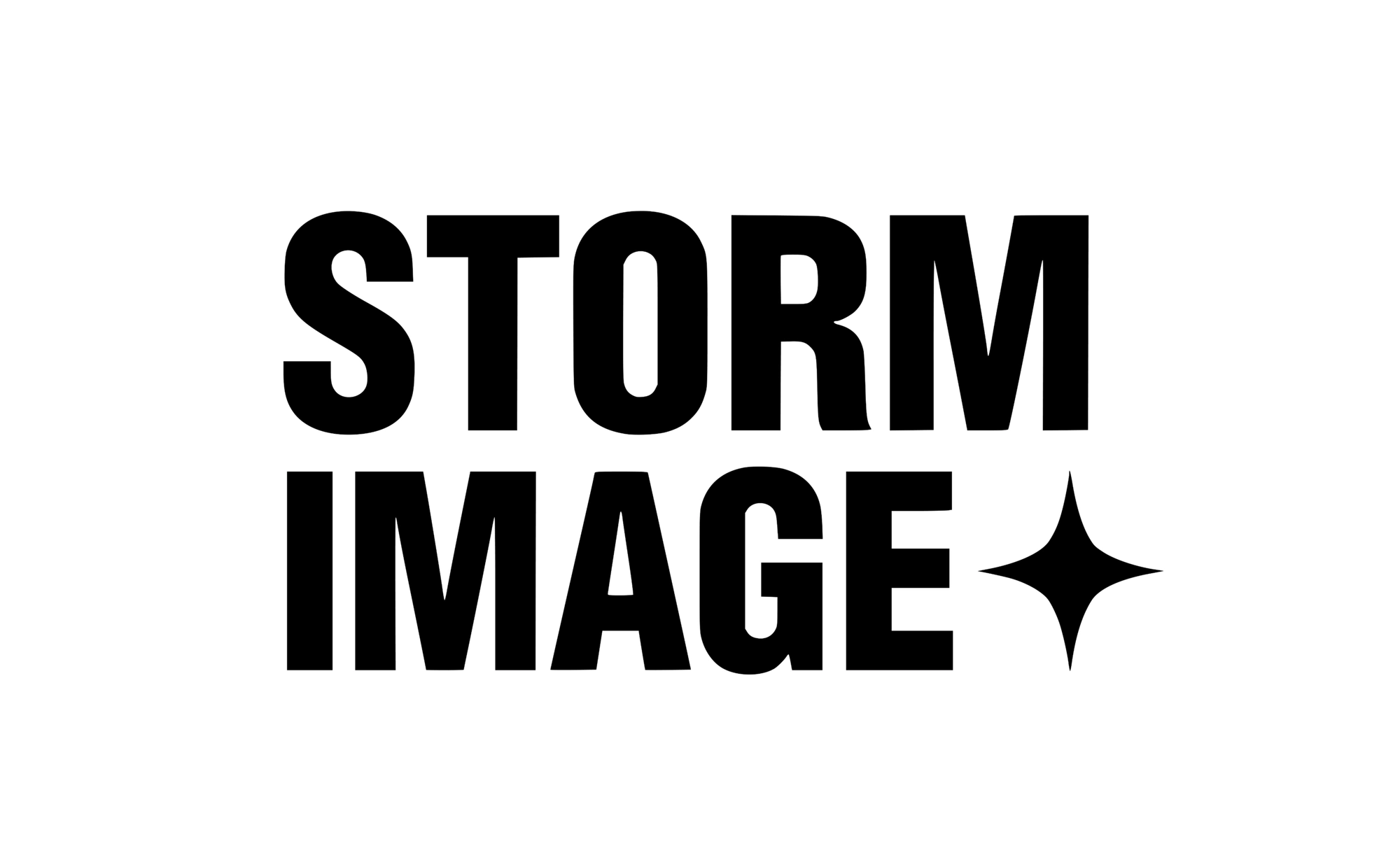 STORM IMAGE 品牌标志